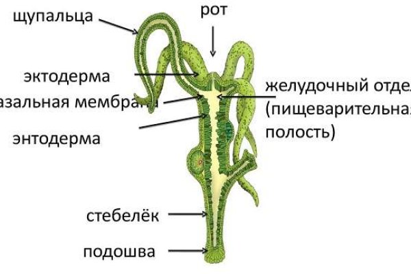 Кракен ссылка kraken